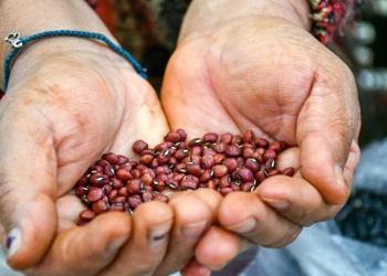 Inician acciones para reforzar el cooperativismo regional