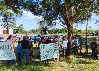 Productores mantienen postura dividida y resuelven una zafra reducida en Misiones