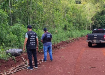 Patrullajes en Montecarlo terminaron con el secuestro de más de 60 millones de pesos en marihuana