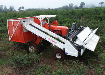 De la mano del INTA, avanza la mecanización de la yerba mate