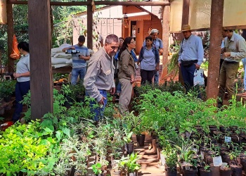Lanzaron un proyecto para las semillas criollas y los saberes agrícolas