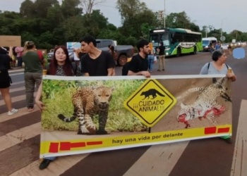 Atropellamiento de animales: “Hay que lograr que se establezca el control de velocidad por tramos”