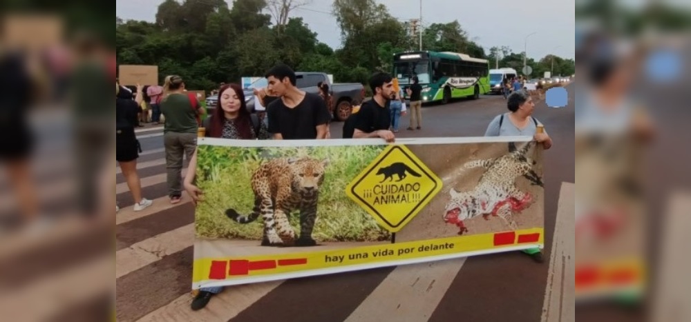 Atropellamiento de animales: “Hay que lograr que se establezca el control de velocidad por tramos”