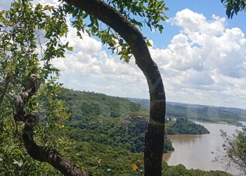 El proyecto de reforma del Código Penal amplía y endurece la protección ambiental