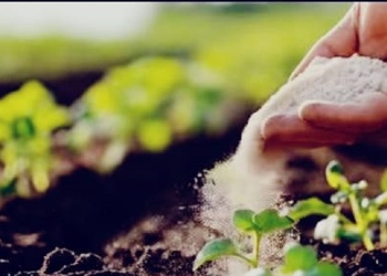 Emprendedora promueve uso de cal agrícola para recuperar suelos