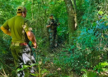 Desactivan trampas, salero y cebaderos de cazadores furtivos