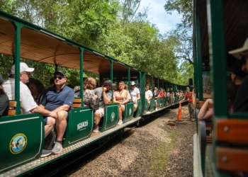 Tren Ecológico de la Selva celebró  el Día del Transporte Sostenible