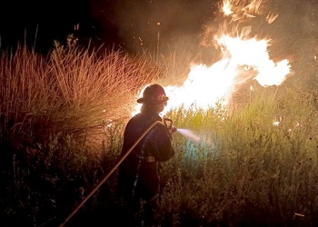 Incendio arrasó 35 hectáreas cerca de una escuela y un CAPS en Santa Ana