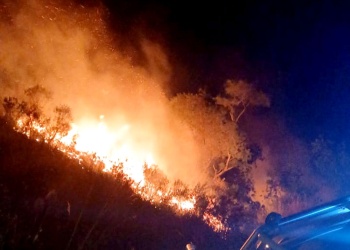 Incendio arrasó 35 hectáreas cerca de una escuela y un CAPS en Santa Ana