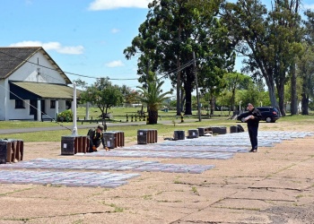 Gendarmería secuestró encomiendas con cigarrillos, celulares y hojas de coca que partieron de Misiones