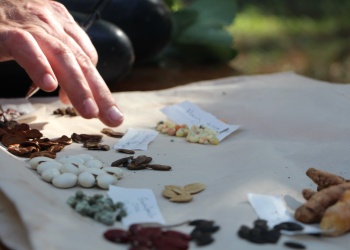 Talleres, feria e intercambio de semillas por el Mes de la Agroecología
