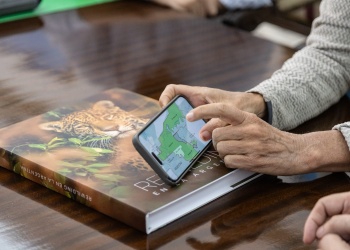 Rewilding Argentina se instala en Misiones con el proyecto Parque Alto Iguazú para proteger al yaguareté