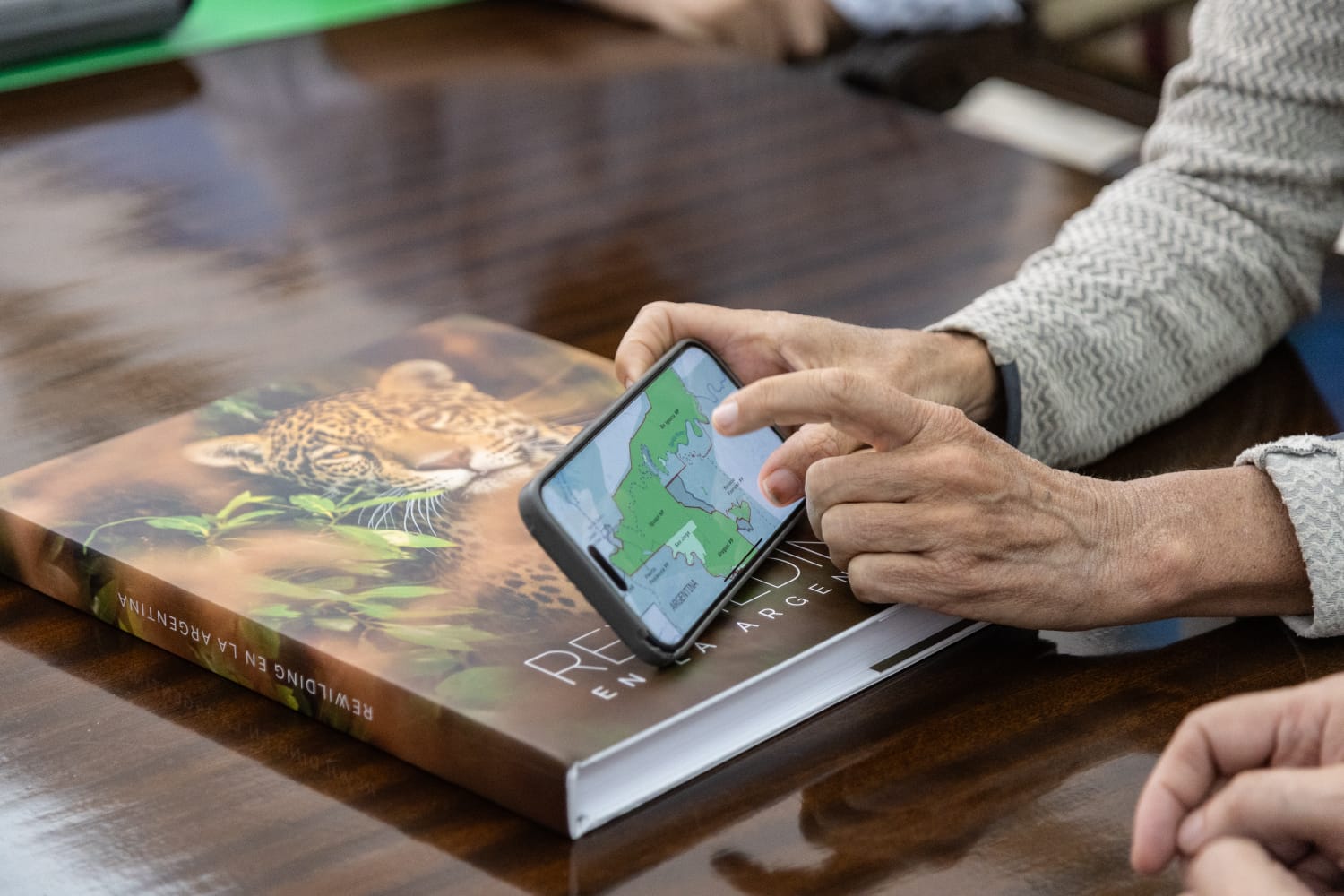 Rewilding Argentina se instala en Misiones con el proyecto Parque Alto Iguazú para proteger al yaguareté