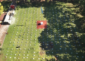 Gendarmería secuestró más de 9 toneladas de marihuana en un camión brasileño en Misiones