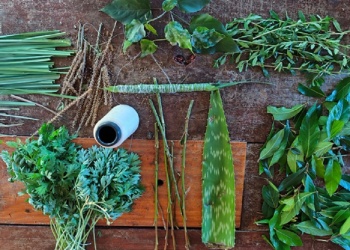 Ecosanación herramientas y técnicas