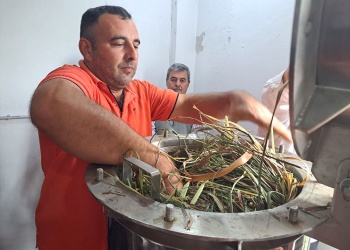 La fórmula de la confianza: ciencia misionera para el despegue global de los aceites de El Soberbio