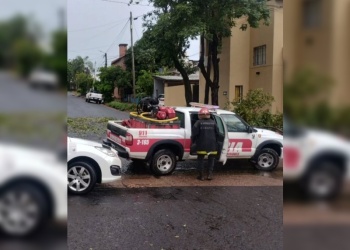 Fuerte temporal generó caída de árboles, cables sueltos y daños en viviendas en distintos puntos de Misiones