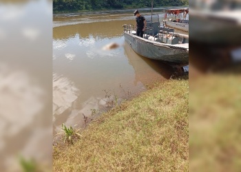 Encontraron un cuerpo con una bolsa en la cabeza en el Paraná y abren compulsas con Brasil y Paraguay