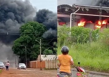 Fuego en el frigorífico Campo San Isidro: varias dotaciones trabajaron para controlar el siniestro