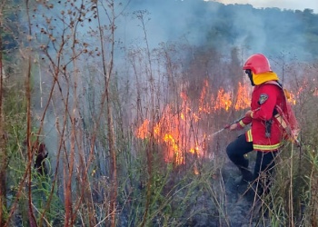 Incendio de malezas en Santa Ana reaviva la alerta por el riesgo de incendios forestales en Misiones