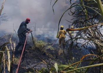 Alto índice de peligrosidad de incendios en Misiones