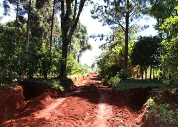 Cómo aprovechar el agua de las lluvias según el INTA