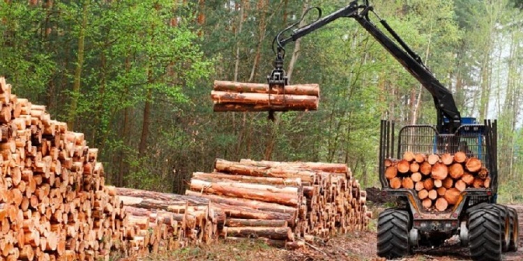 EXPECTANTES. El rubro de la madera de Misiones mantiene las esperanzas ante una pronta mejora en la actividad.