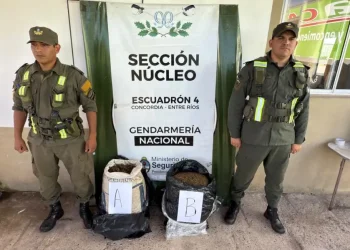 Detuvieron a un hombre que retiró dos encomiendas con marihuana enviadas desde Misiones