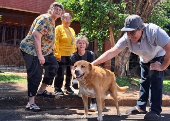 Conocé la historia de “Muchacho”, el guardián de los vecinos en el barrio San Miguel de Posadas