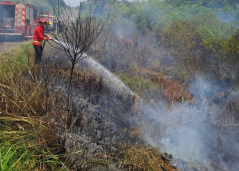 El empresario Oscar Garay es el fallecido en el siniestro vial sobre la ruta 103