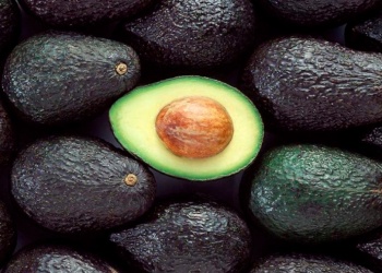 Avanza la producción de Palta Hass en Misiones