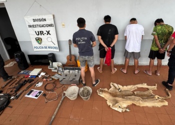 Cayó una banda dedicada a robos en Garupá: tenían herramientas robadas y el pelaje disecado de un puma