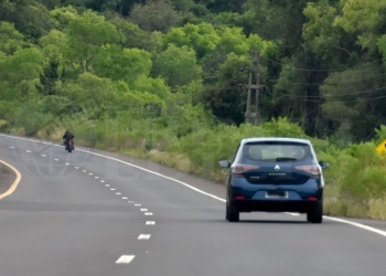 Carteles de señalización en la ruta 12 tapados por las malezas