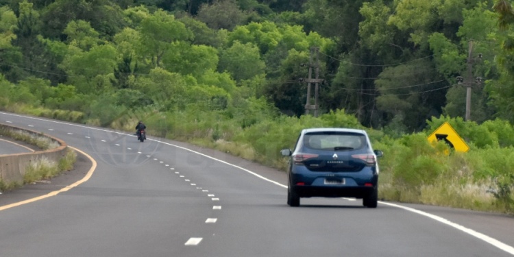 URGE. Varios carteles directamente no se ven, cubiertos por la maleza, otros apenas pueden divisarse.