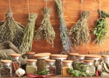 Cómo secar hierbas y conservar su aroma