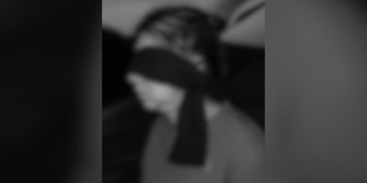 IMÁGEN ILUSTRATIVA GENERADA CON IA.