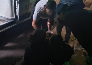 Dos jóvenes resultaron heridas tras ser embestidas por un auto que se dio a la fuga