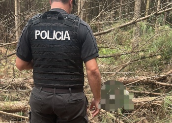 Accidente fatal en El Soberbio: cortaba un árbol y una rama lo aplastó