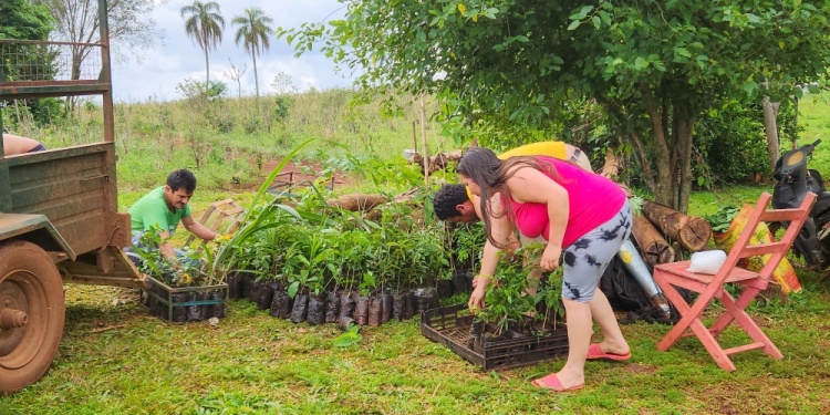 Foto: Vida Silvestre