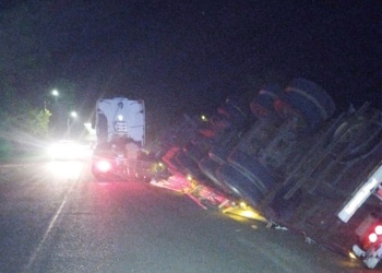 Camión cargado con madera volcó en la ruta provincial 3