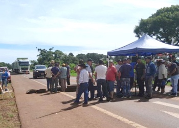 La hoja verde cayó  77% y la renta de  13.000 productores se  transfiere a pocas industrias