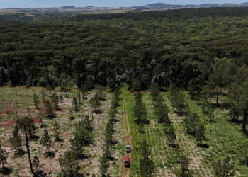 Misiones prepara la edición N° 20 de JOTEFA: será en abril del 2026