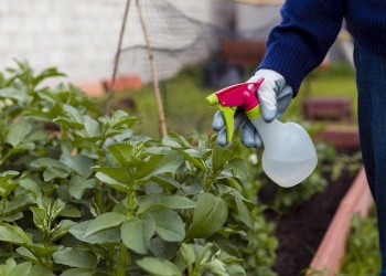 Vinagre en la huerta y el jardín: qué beneficios aporta y cómo usarlo