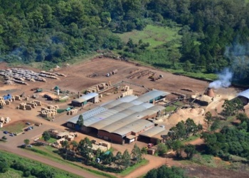 Por deudas, un aserradero despidió a 30 trabajadores