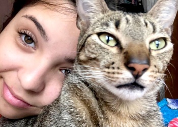 En memoria de su hija, organizaron una colecta para donar a refugios