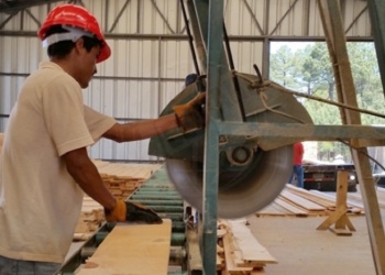 Según datos oficiales del INDEC: Misiones lidera las exportaciones del NEA