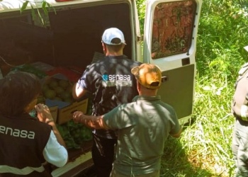 Detienen millonario cargamento con frutas y hortalizas sin documentos sanitarios en Iguazú