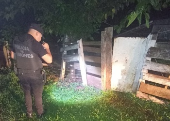 Atacada por un perro cuando cruzaba la frontera: una mujer sufrió graves heridas