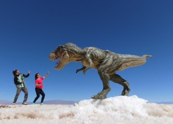 La felicidad se construye