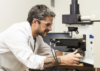 El Conicet incorpora 400 cargos en la carrera de Investigador Científico y Tecnológico